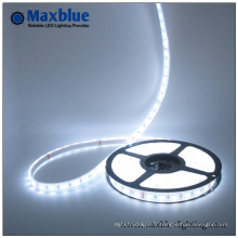 DC12V / 24V Flexible LED Strip Light avec ce 3 ans de garantie